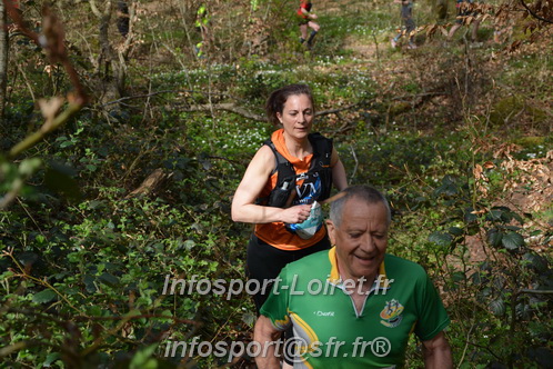 Marathon_Cheverny2025_Samedi_63_35_14km/2025CHEVERNY_65_35_14km_05416.JPG