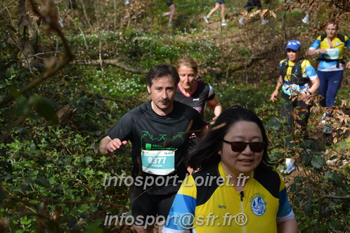 Marathon_Cheverny2025_Samedi_63_35_14km/2025CHEVERNY_65_35_14km_05567.JPG