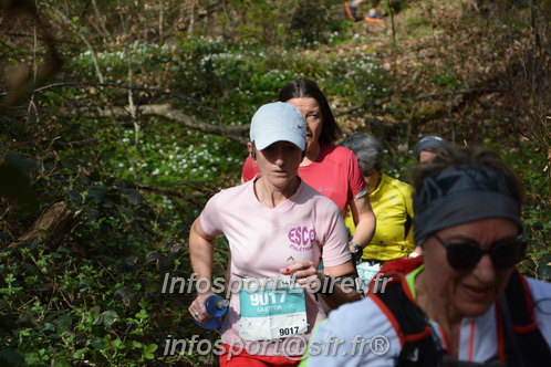 Marathon_Cheverny2025_Samedi_63_35_14km/2025CHEVERNY_65_35_14km_05656.JPG