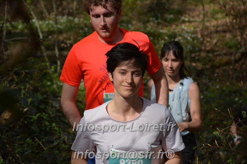Marathon_Cheverny2025_Samedi_63_35_14km/2025CHEVERNY_65_35_14km_05884.JPG