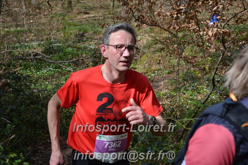 Marathon_Cheverny2025_Samedi_63_35_14km/2025CHEVERNY_65_35_14km_06351.JPG