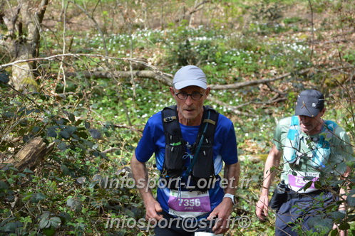 Marathon_Cheverny2025_Samedi_63_35_14km/2025CHEVERNY_65_35_14km_06394.JPG