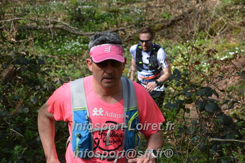 Marathon_Cheverny2025_Samedi_63_35_14km/2025CHEVERNY_65_35_14km_06494.JPG