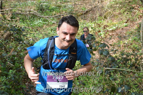 Marathon_Cheverny2025_Samedi_63_35_14km/2025CHEVERNY_65_35_14km_06499.JPG
