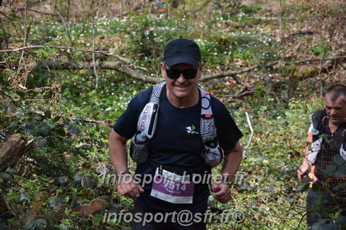 Marathon_Cheverny2025_Samedi_63_35_14km/2025CHEVERNY_65_35_14km_06588.JPG