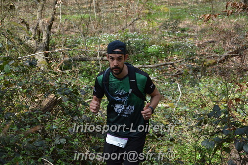 Marathon_Cheverny2025_Samedi_63_35_14km/2025CHEVERNY_65_35_14km_06630.JPG