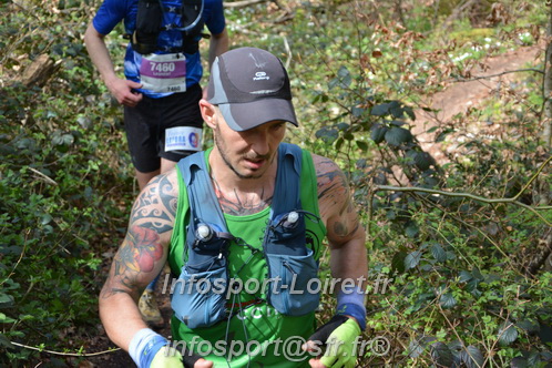 Marathon_Cheverny2025_Samedi_63_35_14km/2025CHEVERNY_65_35_14km_06756.JPG