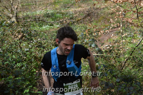 Marathon_Cheverny2025_Samedi_63_35_14km/2025CHEVERNY_65_35_14km_07321.JPG