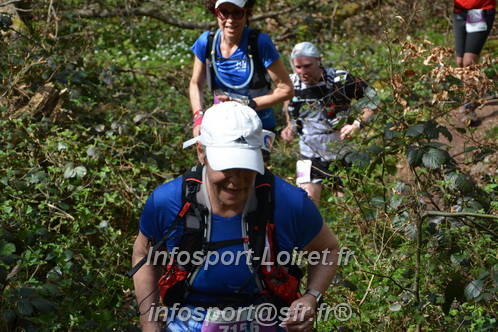 Marathon_Cheverny2025_Samedi_63_35_14km/2025CHEVERNY_65_35_14km_07388.JPG