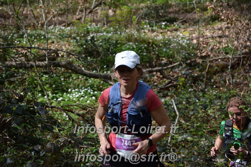 Marathon_Cheverny2025_Samedi_63_35_14km/2025CHEVERNY_65_35_14km_07693.JPG