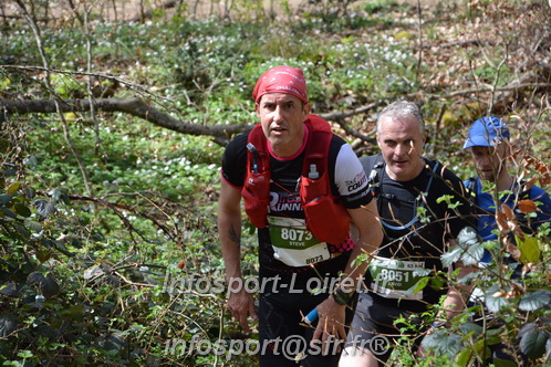 Marathon_Cheverny2025_Samedi_63_35_14km/2025CHEVERNY_65_35_14km_08131.JPG