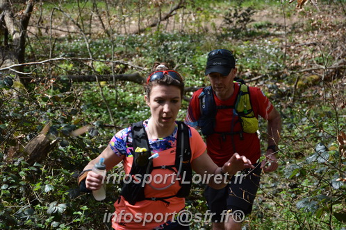 Marathon_Cheverny2025_Samedi_63_35_14km/2025CHEVERNY_65_35_14km_08149.JPG
