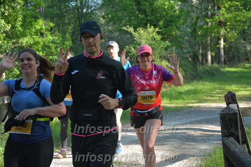 Marathon_Cheverny2026_Dimanche/CHEVERNYSM2026_04151.JPG