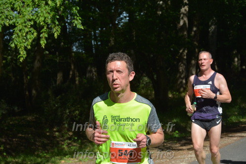 Marathon_Cheverny2026_Dimanche/CHEVERNYSM2026_06499.JPG
