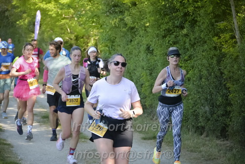 Marathon_Cheverny2026_Dimanche/CHEVERNYSM2026_08737.JPG