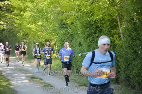 Marathon_Cheverny2026_Dimanche/CHEVERNYSM2026_08749.JPG