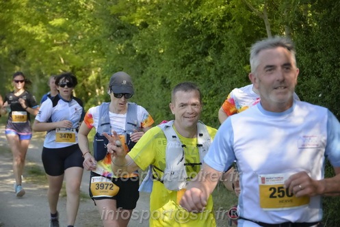 Marathon_Cheverny2026_Dimanche/CHEVERNYSM2026_08826.JPG