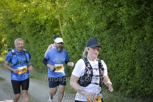 Marathon_Cheverny2026_Dimanche/CHEVERNYSM2026_08888.JPG