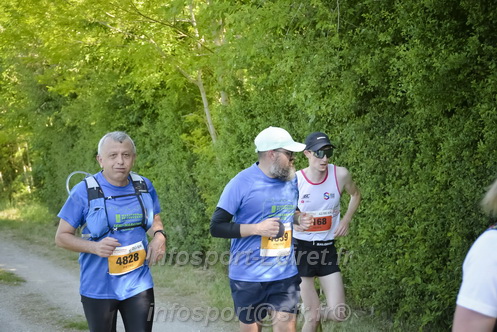 Marathon_Cheverny2026_Dimanche/CHEVERNYSM2026_08889.JPG