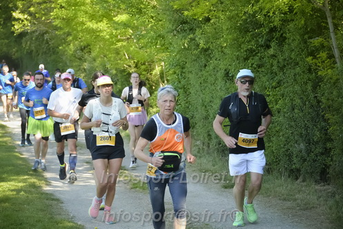 Marathon_Cheverny2026_Dimanche/CHEVERNYSM2026_08914.JPG