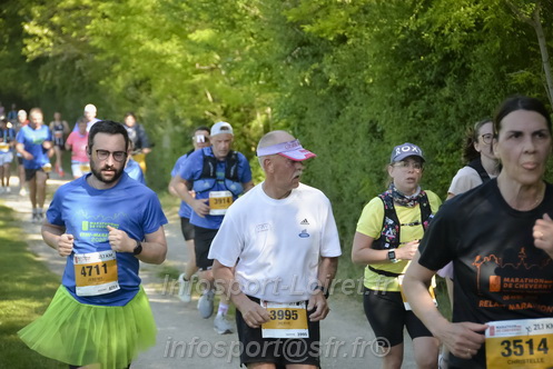Marathon_Cheverny2026_Dimanche/CHEVERNYSM2026_08918.JPG