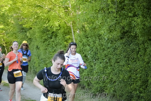 Marathon_Cheverny2026_Dimanche/CHEVERNYSM2026_08991.JPG