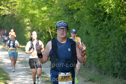 Marathon_Cheverny2026_Dimanche/CHEVERNYSM2026_09559.JPG