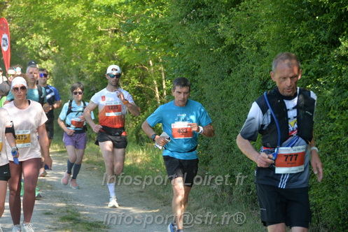 Marathon_Cheverny2026_Dimanche/CHEVERNYSM2026_10135.JPG