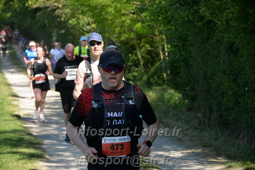 Marathon_Cheverny2026_Dimanche/CHEVERNYSM2026_10274.JPG