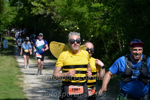 Marathon_Cheverny2026_Dimanche/CHEVERNYSM2026_10434.JPG