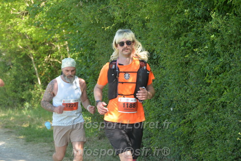 Marathon_Cheverny2026_Dimanche/CHEVERNYSM2026_10643.JPG