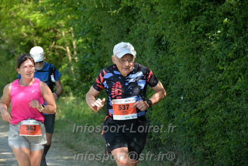 Marathon_Cheverny2026_Dimanche/CHEVERNYSM2026_10706.JPG
