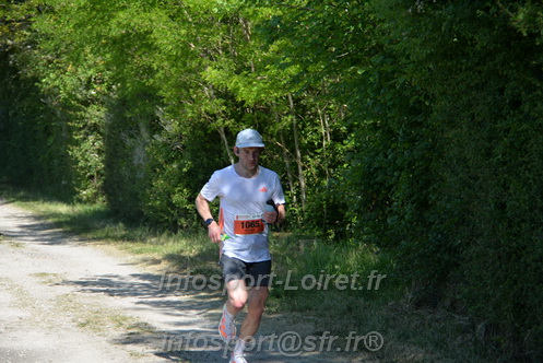 Marathon_Cheverny2026_Dimanche/CHEVERNYSM2026_11031.JPG