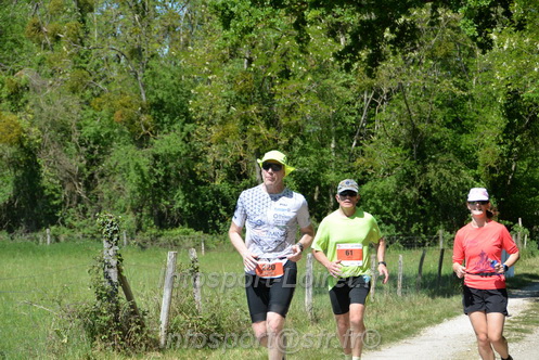 Marathon_Cheverny2026_Dimanche/CHEVERNYSM2026_11825.JPG