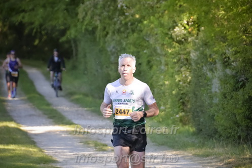 Marathon_Cheverny2026_Dimanche/CHEVERNYSM2026_12643.JPG
