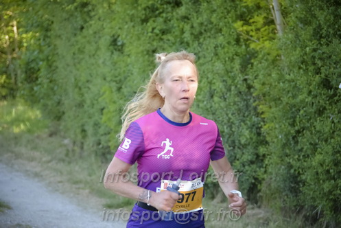 Marathon_Cheverny2026_Dimanche/CHEVERNYSM2026_13120.JPG