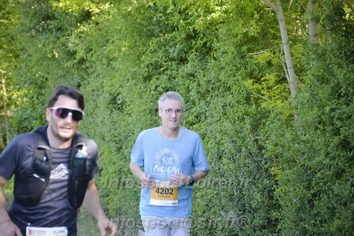 Marathon_Cheverny2026_Dimanche/CHEVERNYSM2026_13234.JPG