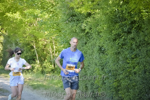 Marathon_Cheverny2026_Dimanche/CHEVERNYSM2026_13343.JPG