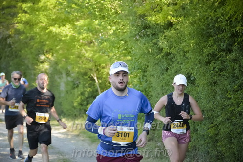Marathon_Cheverny2026_Dimanche/CHEVERNYSM2026_13526.JPG