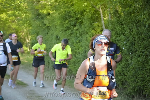 Marathon_Cheverny2026_Dimanche/CHEVERNYSM2026_13638.JPG