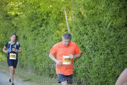 Marathon_Cheverny2026_Dimanche/CHEVERNYSM2026_13656.JPG