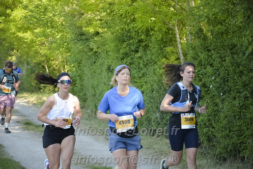 Marathon_Cheverny2026_Dimanche/CHEVERNYSM2026_13658.JPG