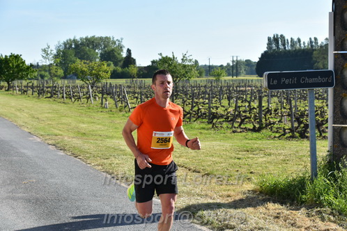 Marathon_Cheverny2026_Dimanche/CHEVERNYSM2026_13735.JPG