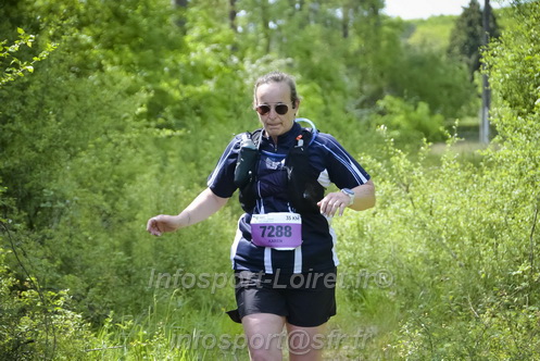 Marathon_Cheverny2026_Samedi/CHEVERNYTRAIL2026_03913.JPG