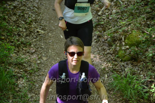 Marathon_Cheverny2026_Samedi/CHEVERNYTRAIL2026_04905.JPG