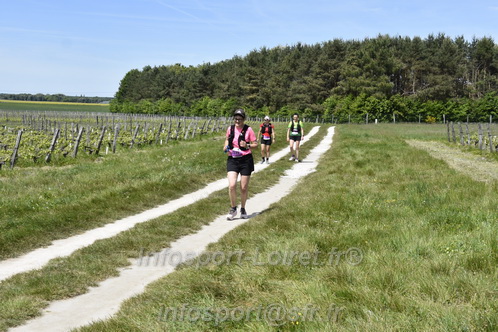 Marathon_Cheverny2026_Samedi/CHEVERNYTRAIL2026_08403.JPG