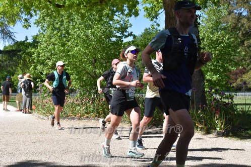 Marathon_Cheverny2026_Samedi/CHEVERNYTRAIL2026_08946.JPG