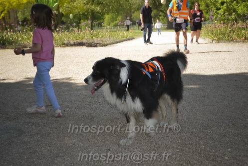 Marathon_Cheverny2026_Samedi/CHEVERNYTRAIL2026_09551.JPG