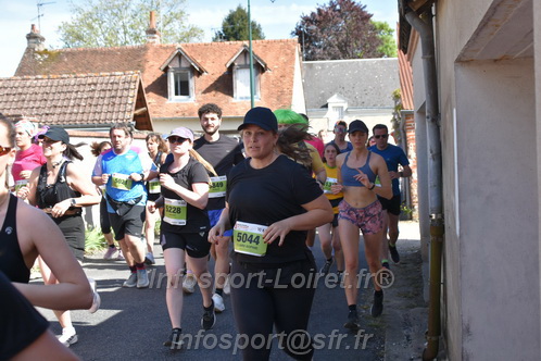 Marathon_Cheverny2026_Samedi/CHEVERNYTRAIL2026_15317.JPG